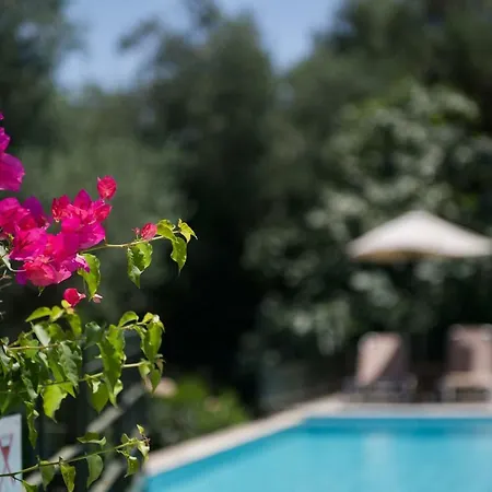 Villa Anemoni *